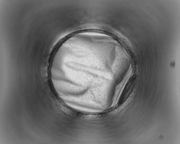 X0000100971166200807221202