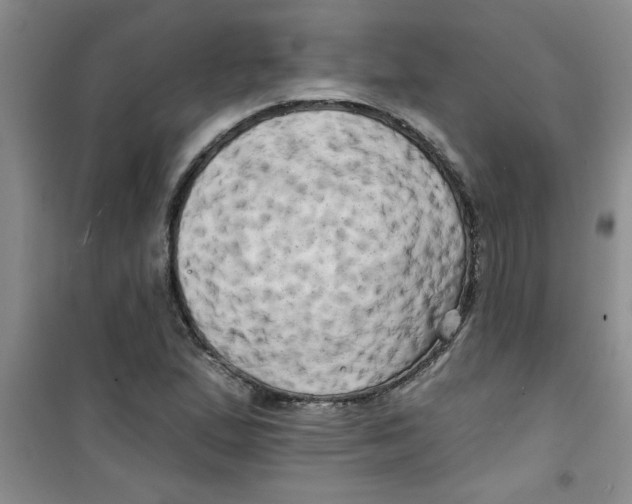 X0000100971167200807221202