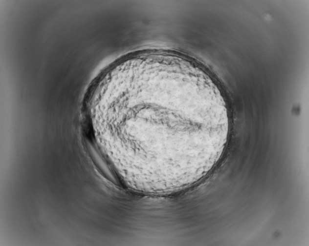 X0000100971168200807221202
