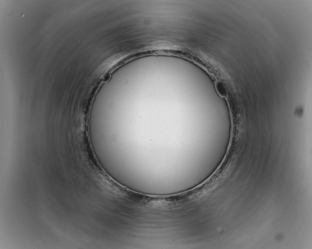X0000100971169200807221202