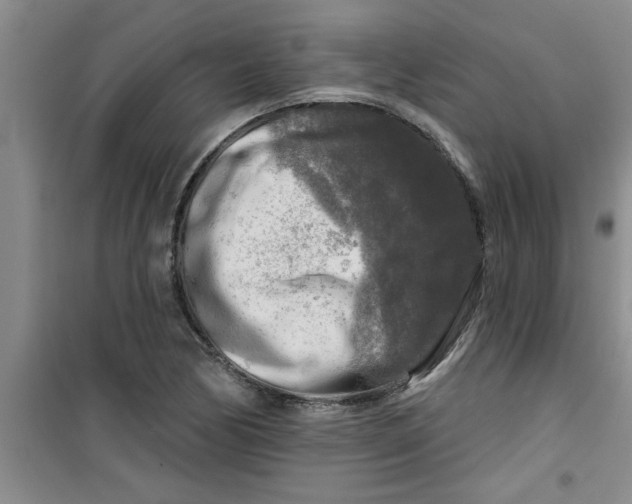 X0000100971170200807221202