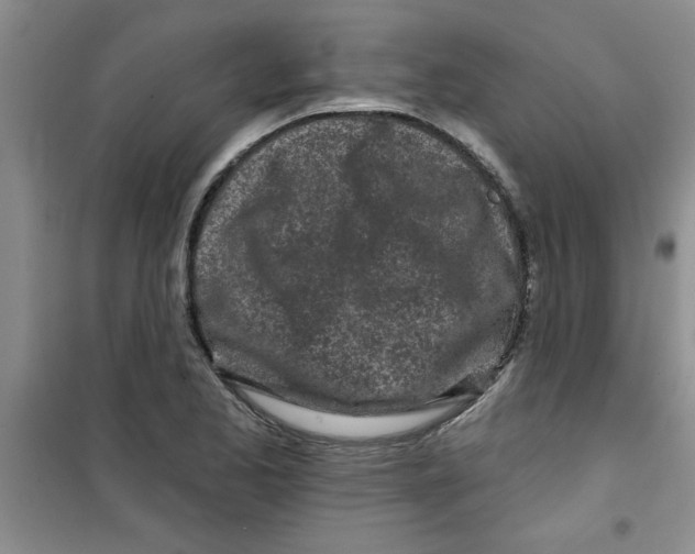 X0000100971173200807221202