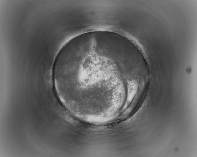 X0000100971174200807221202