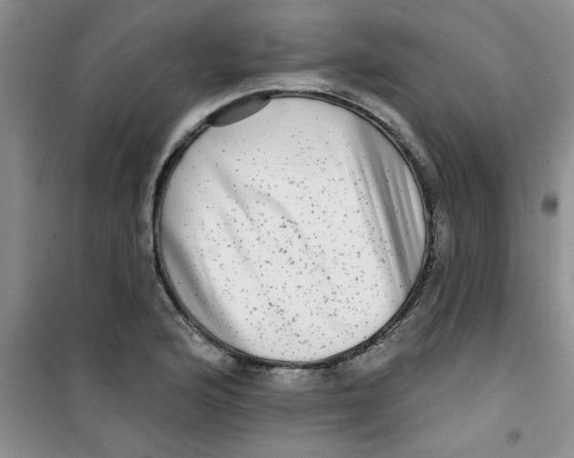 X0000100971176200807221202