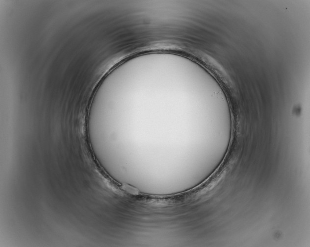 X0000100971177200807221202