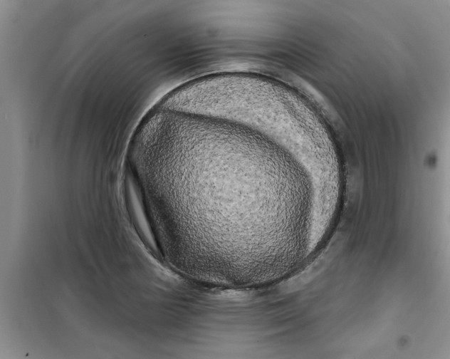 X0000100971178200807221202