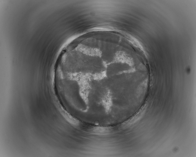 X0000100971179200807221202