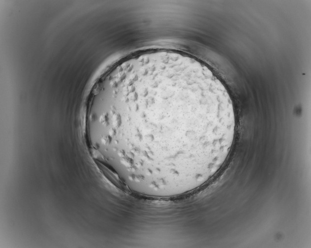 X0000100971180200807221202