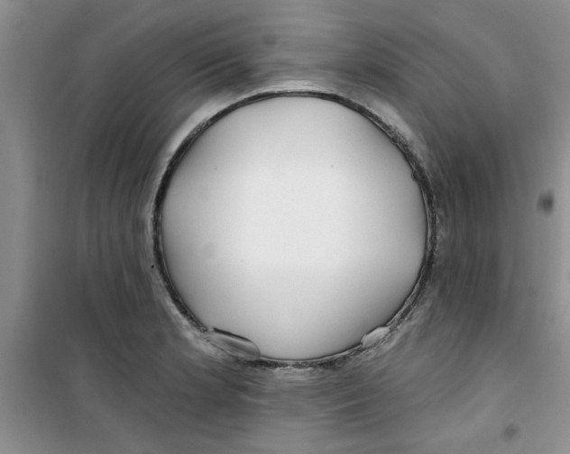 X0000100971181200807221202