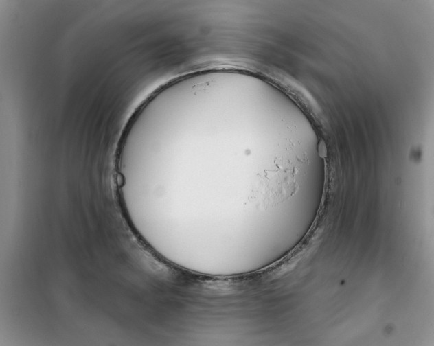 X0000100971182200807221202