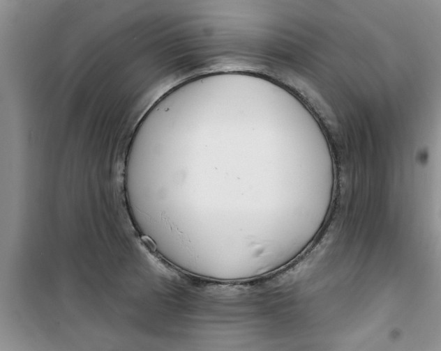 X0000100971185200807221202