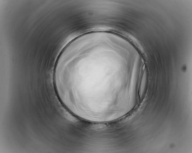X0000100971186200807221202