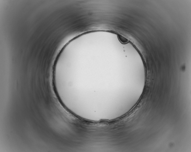 X0000100971187200807221202