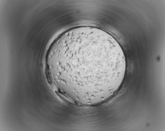 X0000100971188200807221202