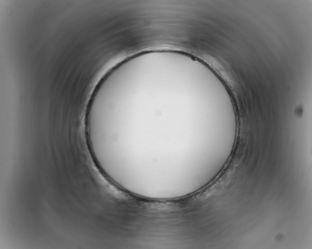 X0000100971189200807221202