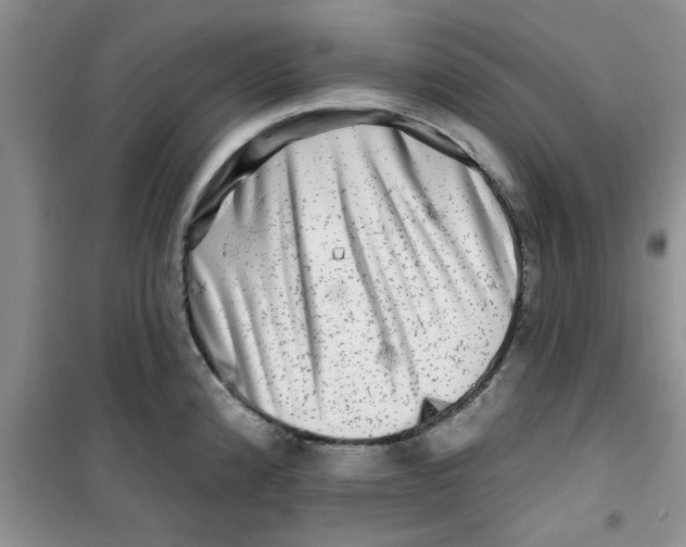 X0000100971192200807221202