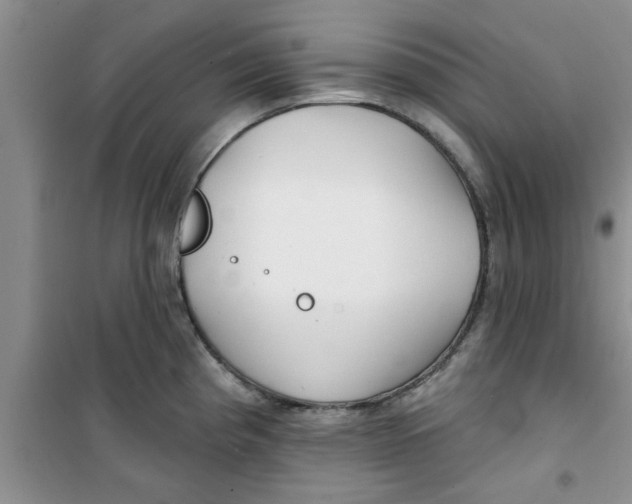 X0000100971193200807221202