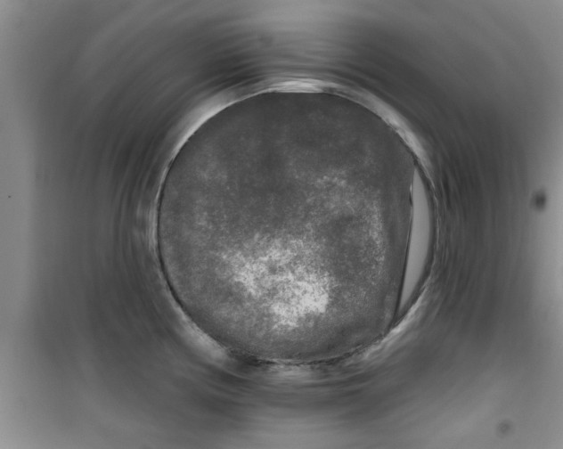 X0000100971194200807221202