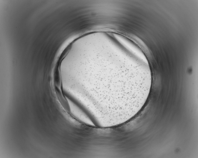 X0000100971196200807221202