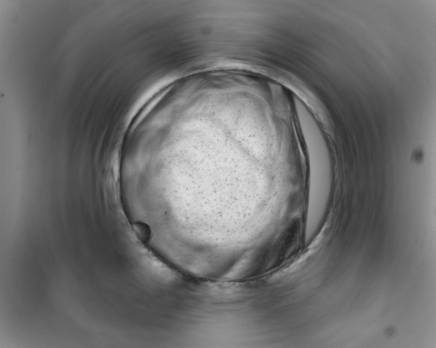 X0000100971198200807221202
