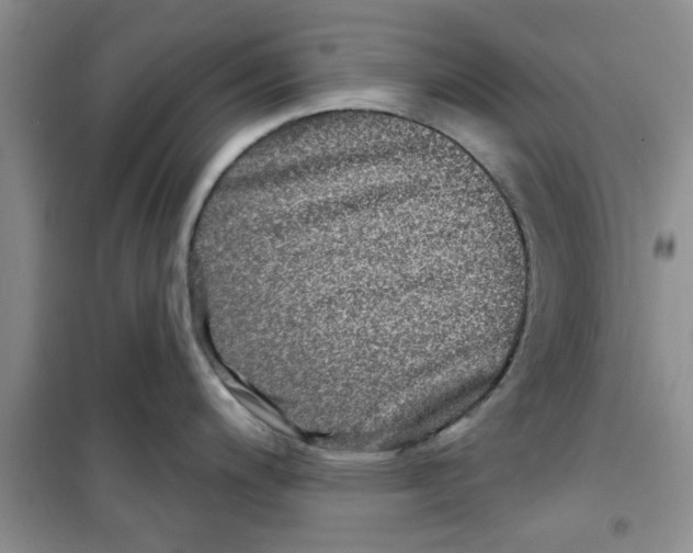 X0000100971200200807221202