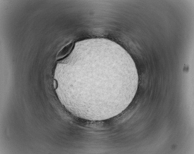 X0000100971201200807221201