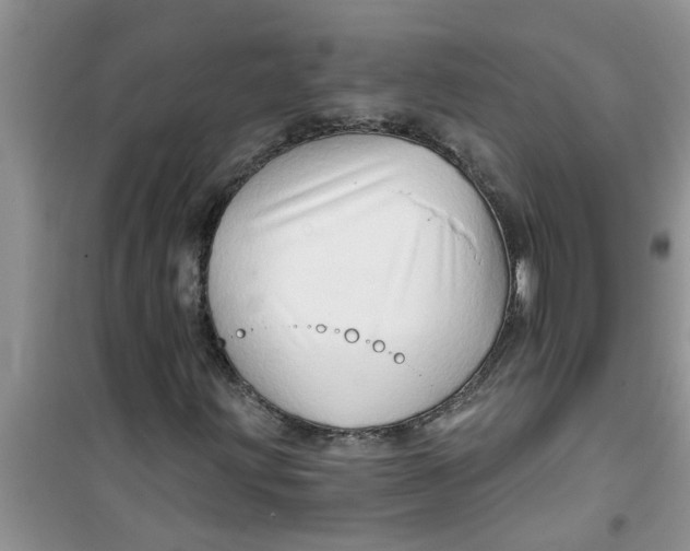 X0000100971203200807221201