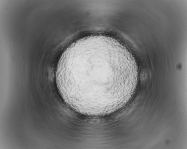 X0000100971204200807221201