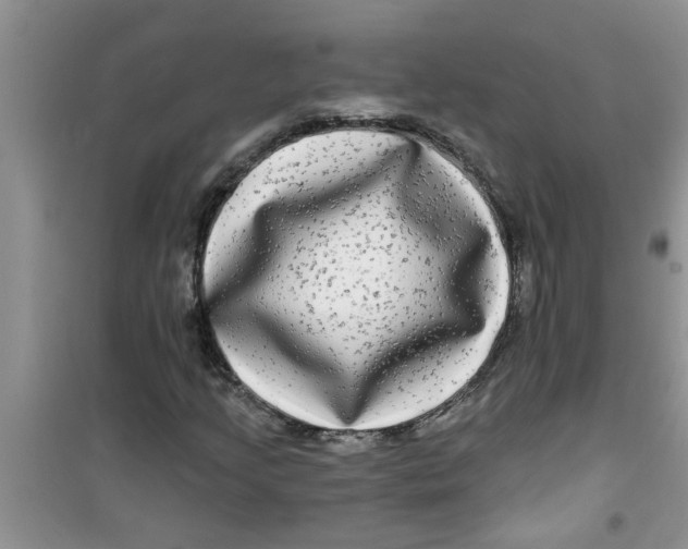 X0000100971205200807221201
