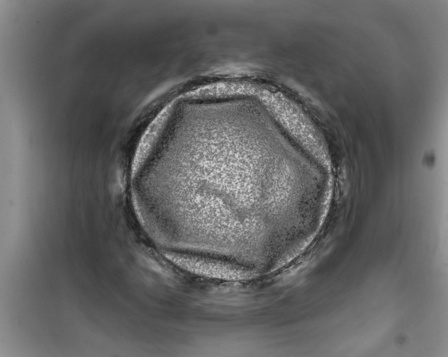 X0000100971206200807221201