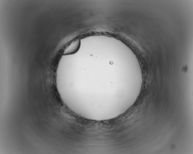 X0000100971207200807221201