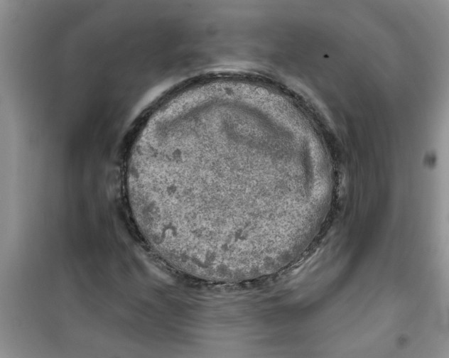 X0000100971208200807221201