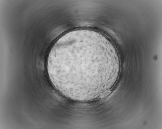 X0000100971209200807221201