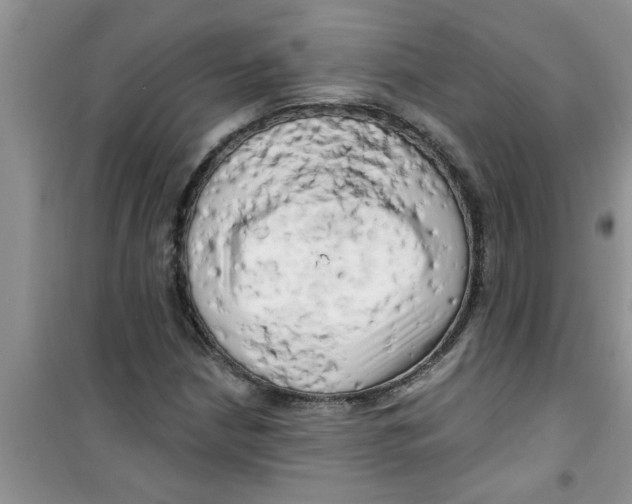 X0000100971210200807221201