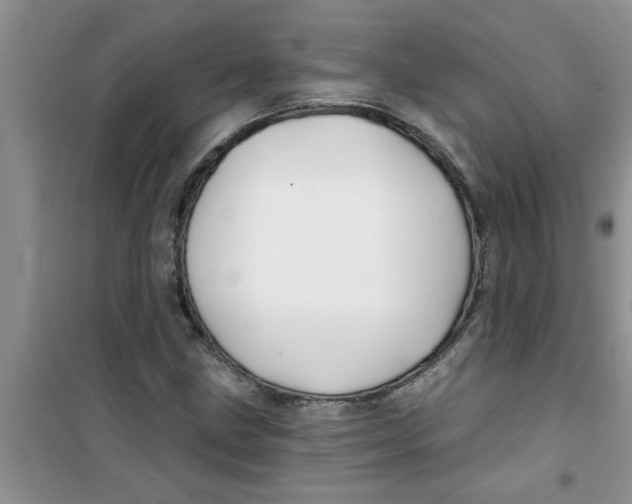 X0000100971211200807221201