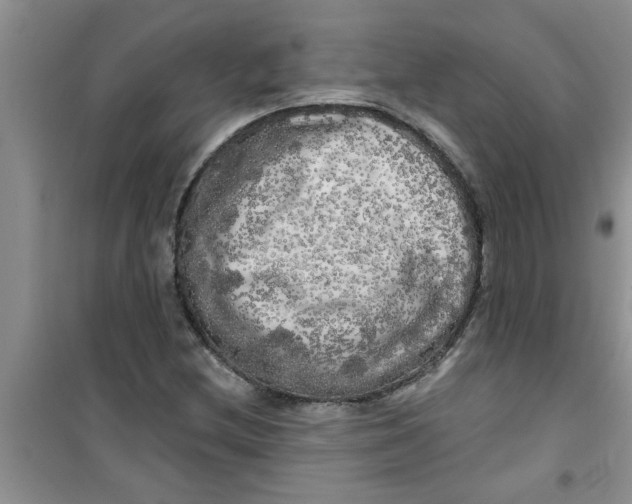 X0000100971212200807221201