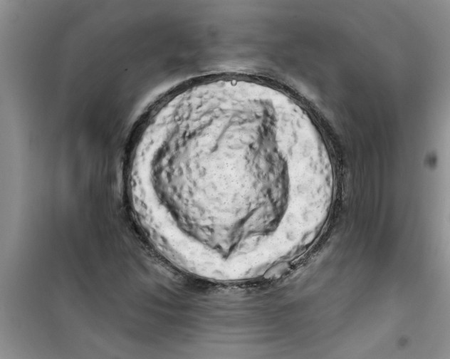 X0000100971214200807221201