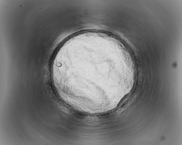 X0000100971215200807221201