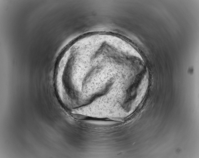 X0000100971216200807221201