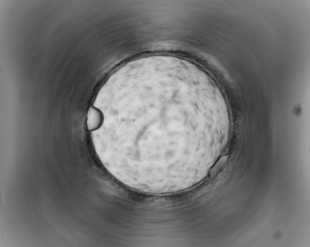 X0000100971217200807221201