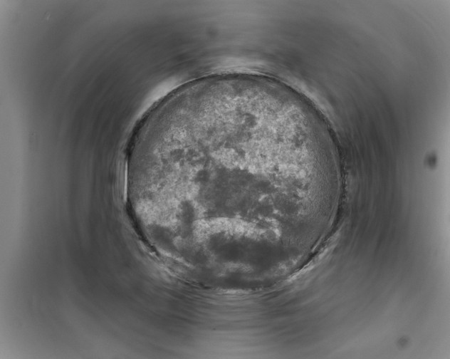 X0000100971219200807221201