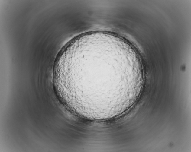 X0000100971220200807221201