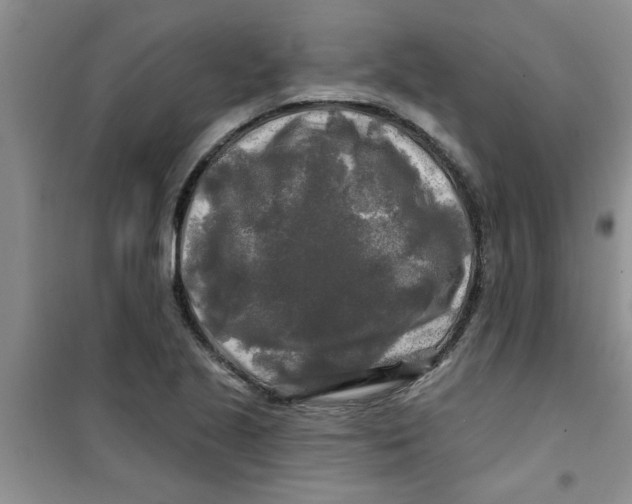X0000100971221200807221201