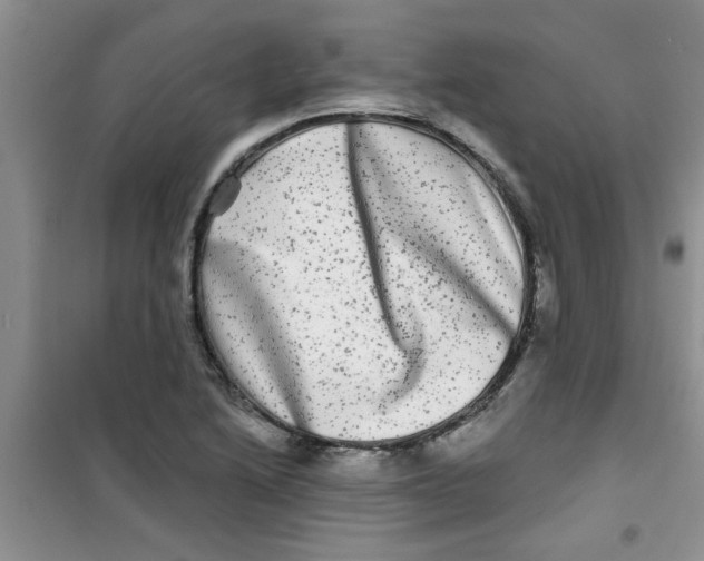 X0000100971222200807221201