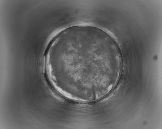 X0000100971223200807221201