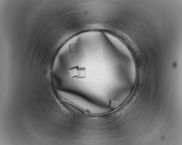 X0000100971225200807221201