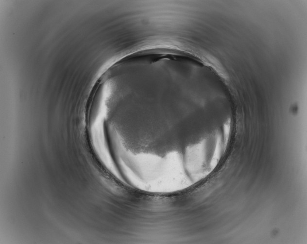 X0000100971226200807221201