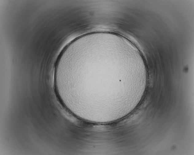 X0000100971227200807221201
