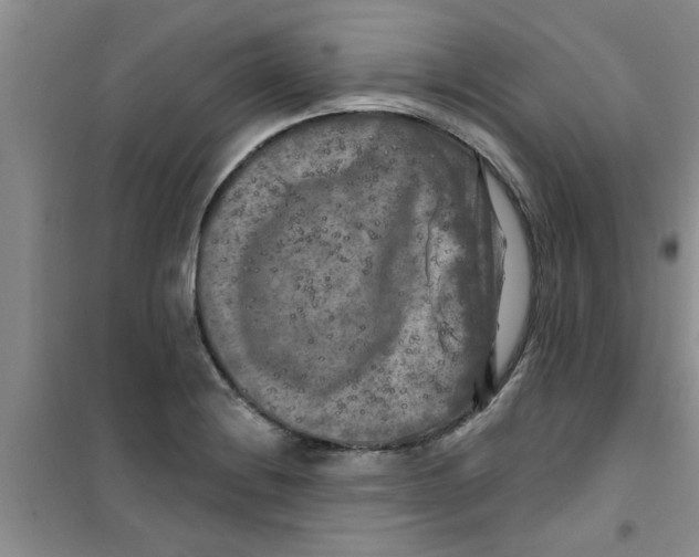 X0000100971228200807221201