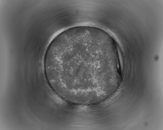 X0000100971230200807221201